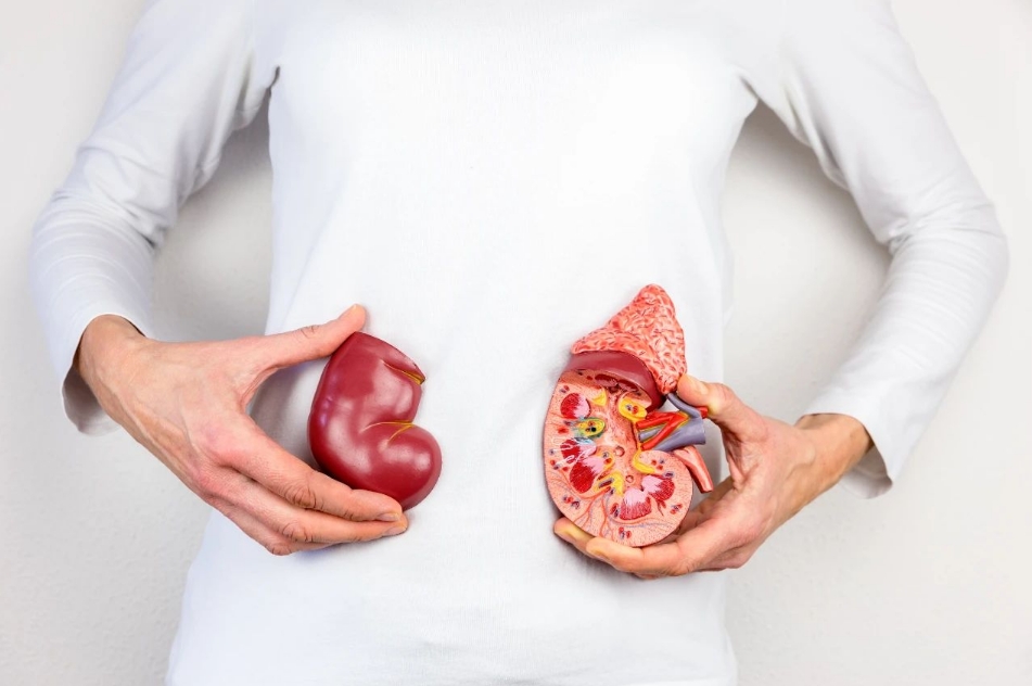 呼和浩特京蒙国医中医院联体医院