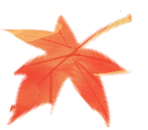 呼和浩特京蒙国医中医院