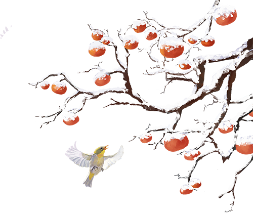 【健康科普】血压稳不···